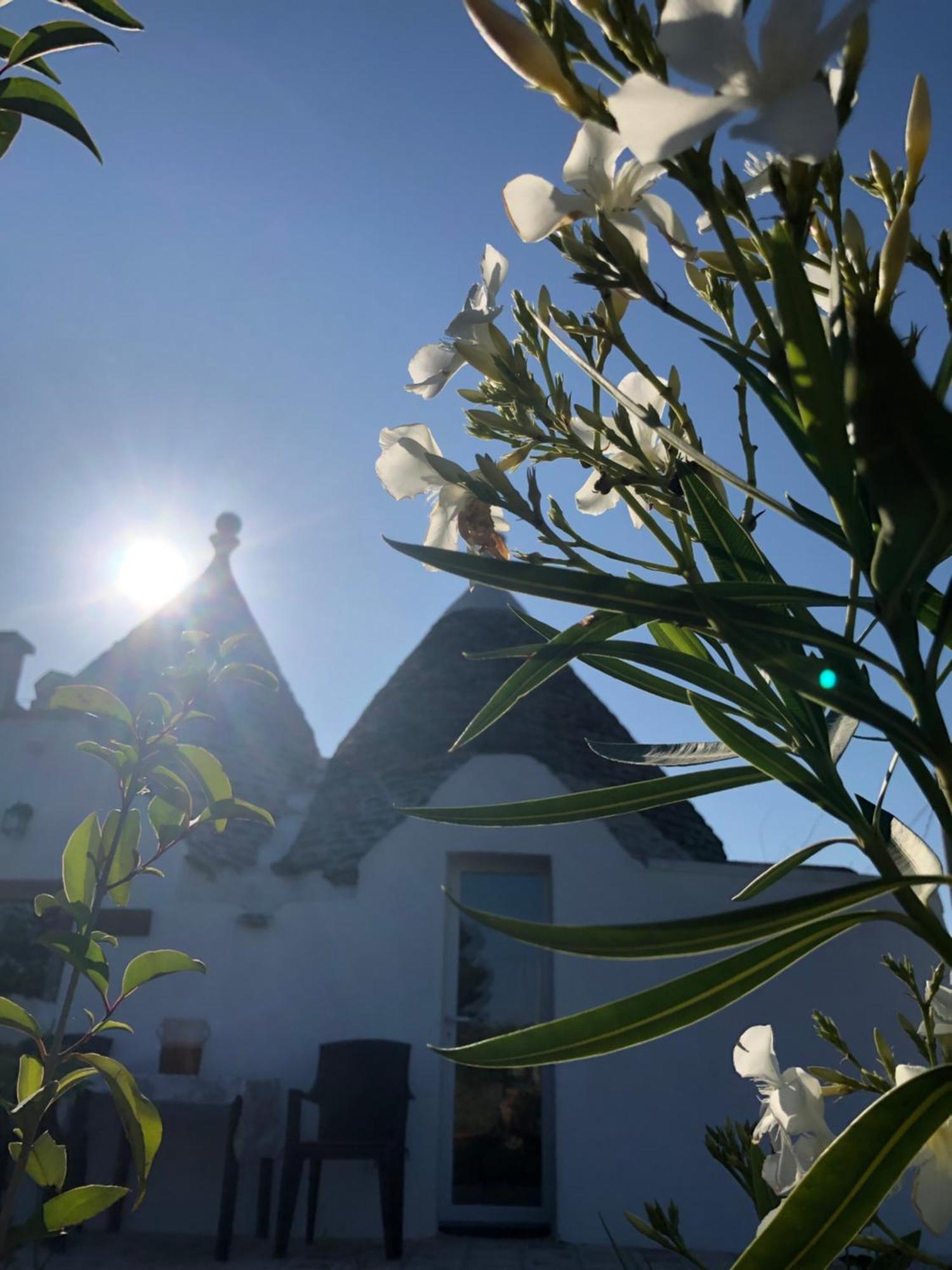 마르티나프란카 Trullo Trilli Puglia 빌라 외부 사진