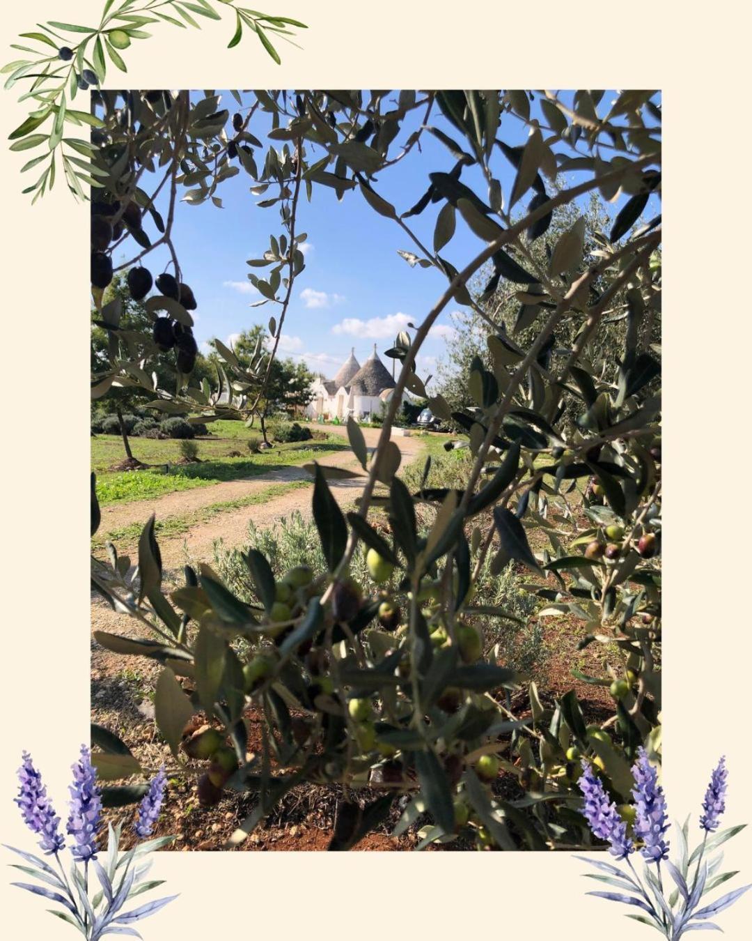 마르티나프란카 Trullo Trilli Puglia 빌라 외부 사진